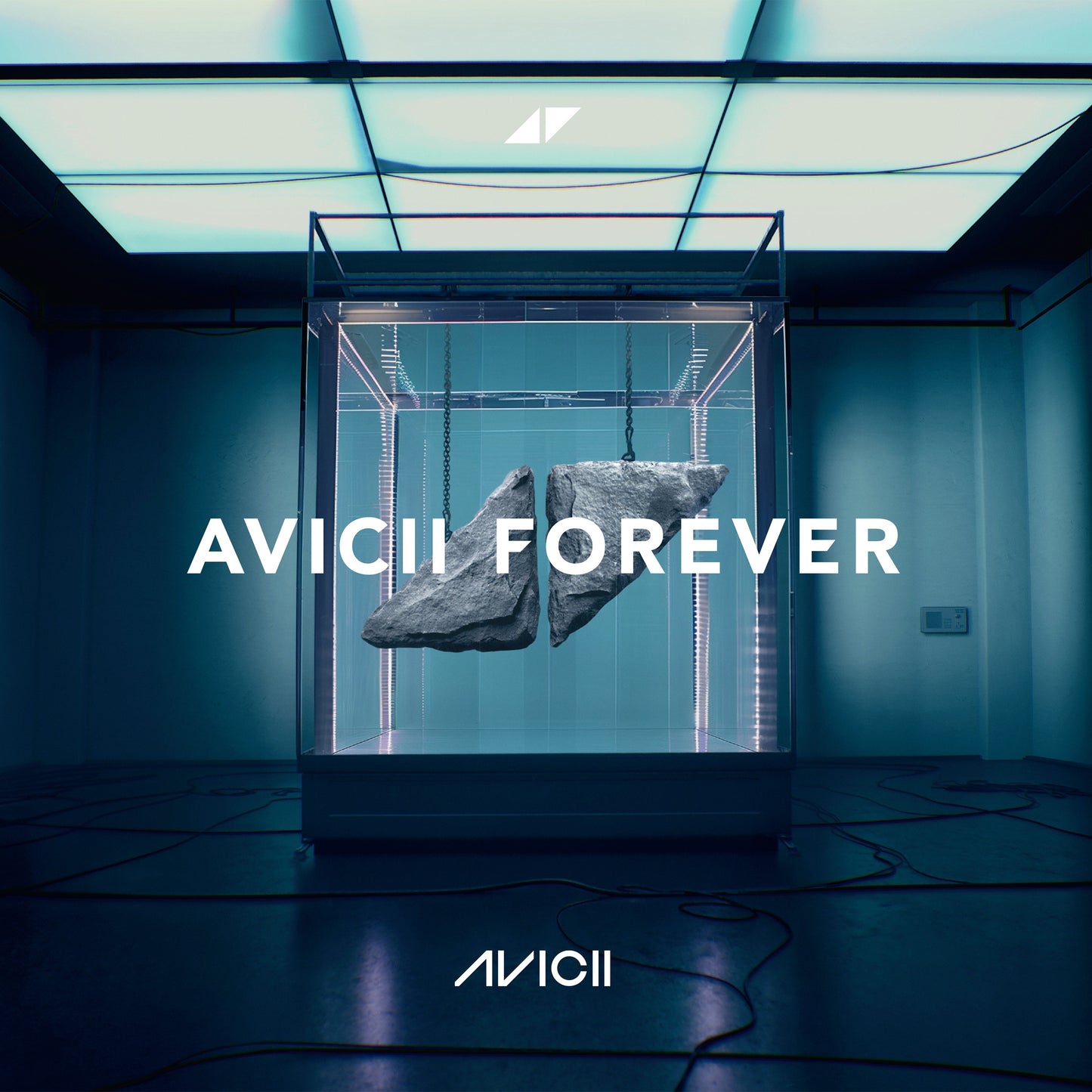 Avicii - Avicii Forever