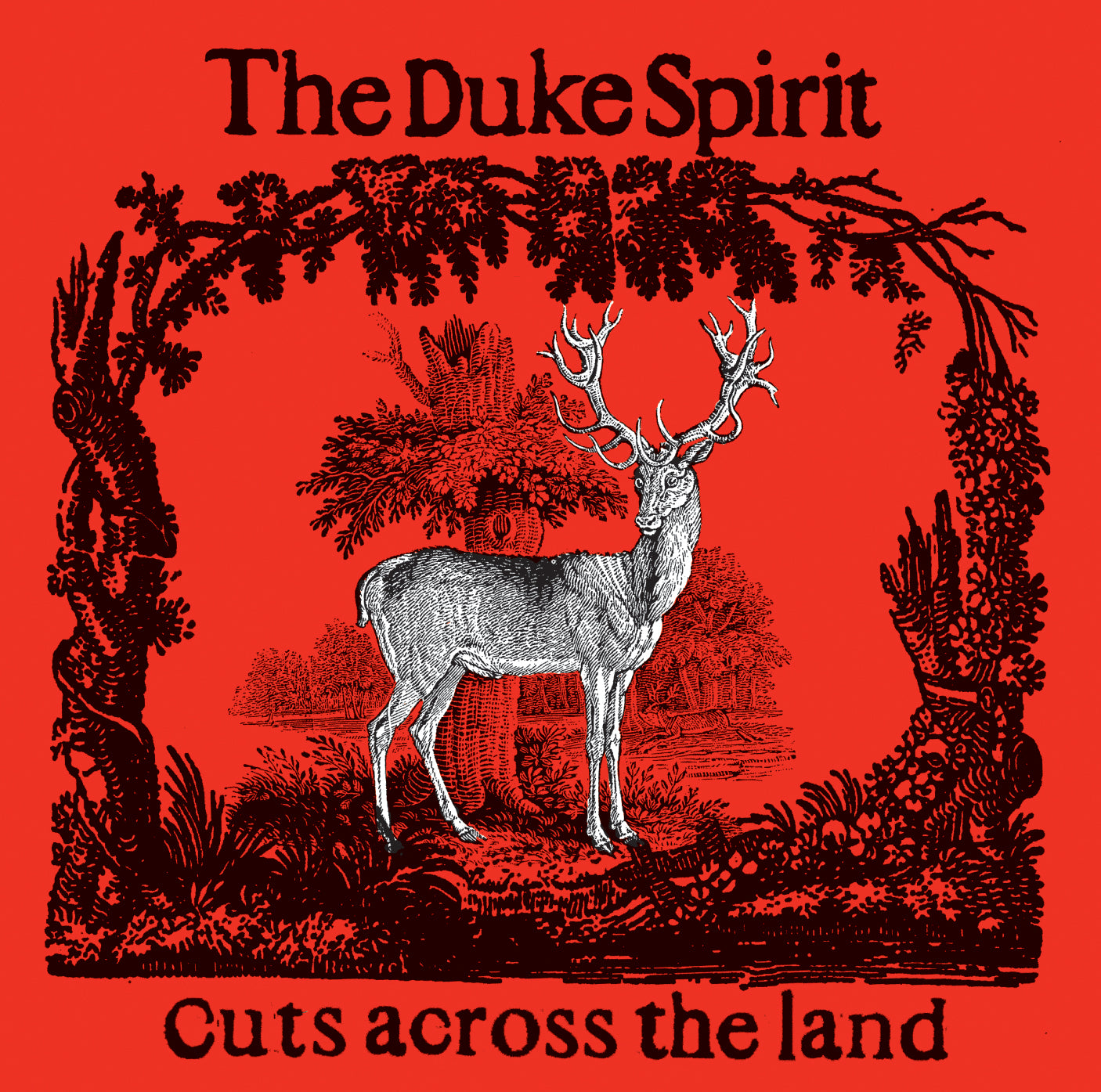 Duke Spirit - Cuts Across The Land