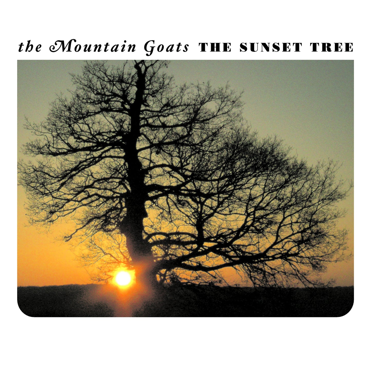 The Mountain Goats - The Sunset Tree 20th Anniversary