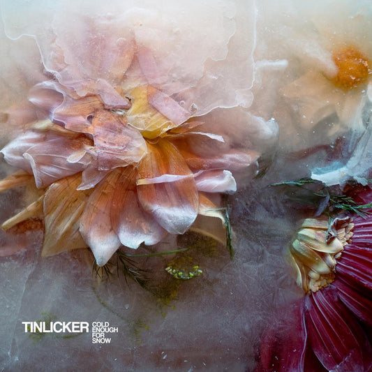 Tinlicker - Cold Enough For Snow (Out 10/5/24)