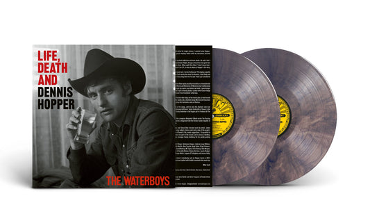 The Waterboys - Life Death and Dennis Hopper