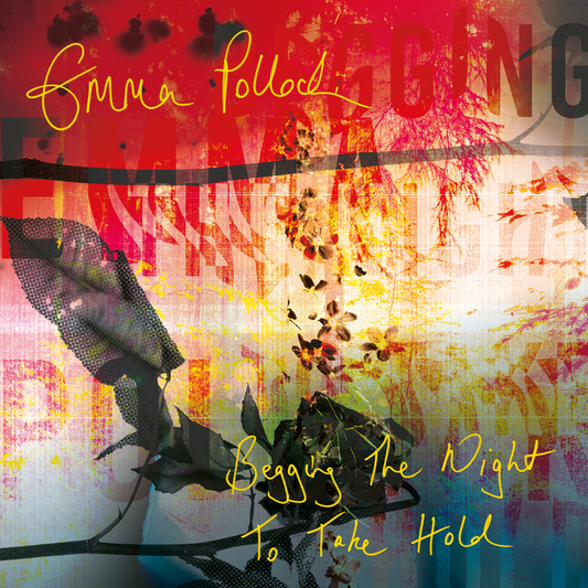 Emma Pollock - Begging The Night To Take Hold
