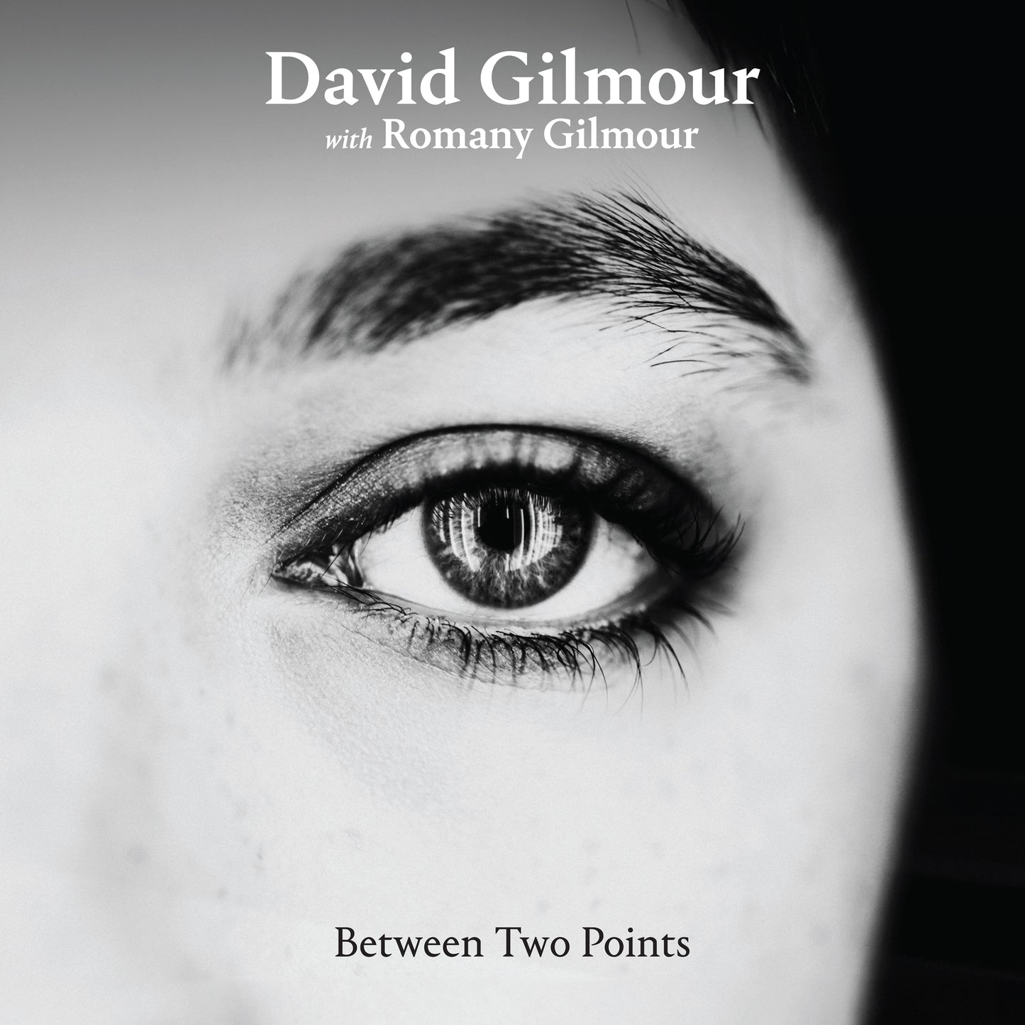 David Gilmour - Between Two Points Remixes (RSD25)