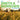 Smith & Burrows - Only Smith & Burrows Is Good Enough