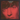 COURTNEY BARNETT - TELL ME HOW YOU REALLY FEEL