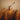 Patrick Wolf - Crying The Neck