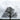 Kiefer Sutherland - Grey