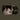 Black 2LP