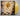 Indies Eco Citrus 2LP