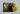 Yellow Smoke LP