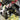 Nurse with Wound/Scanner - Contrary Motion