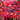 Cream - Disraeli Gears