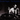 Donald Fagen - The Nightfly