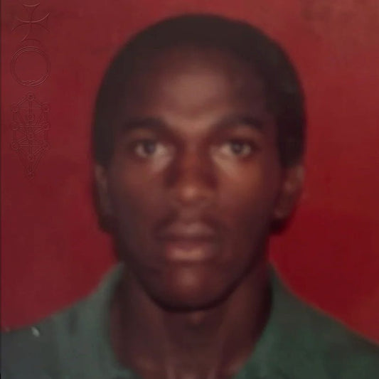 Daniel Caesar - Son of Spergy