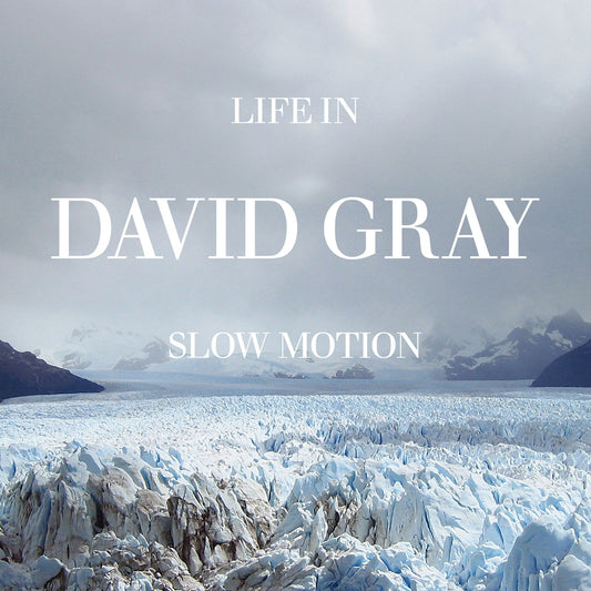 David Gray - Life In Slow Motion 20th Anniversary