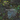 Dragonflies - Dragonflies