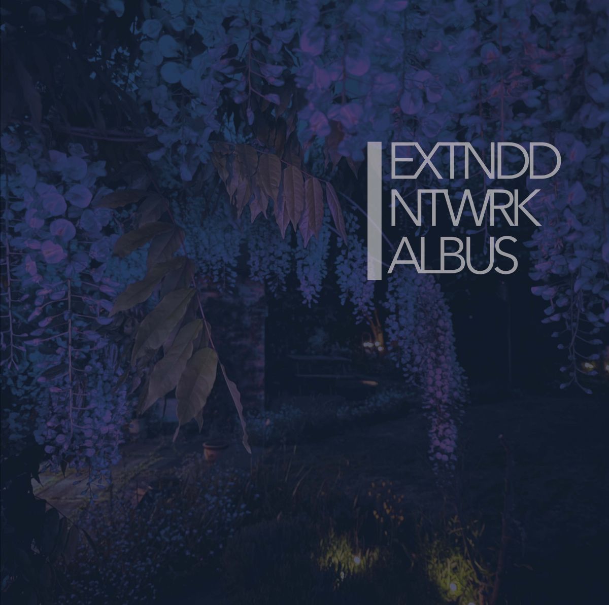 EXTNDDNTWRK - Albus (Out 23/5/25)