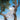 Eaves Wilder - Little Miss Sunshine (Out 17/4/26)