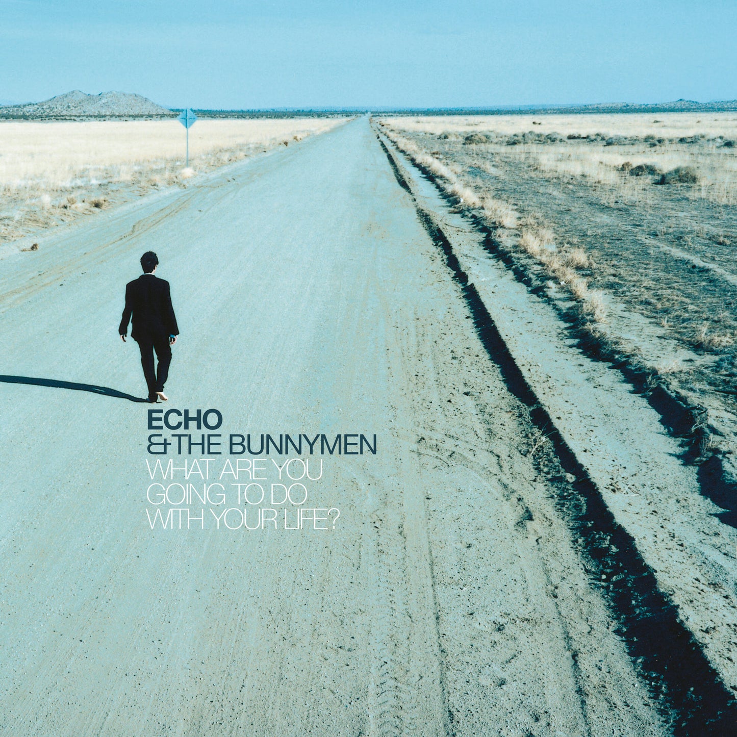 Echo & The Bunnymen - What Are You Going To Do With Your Life? (Out 29/11/24)