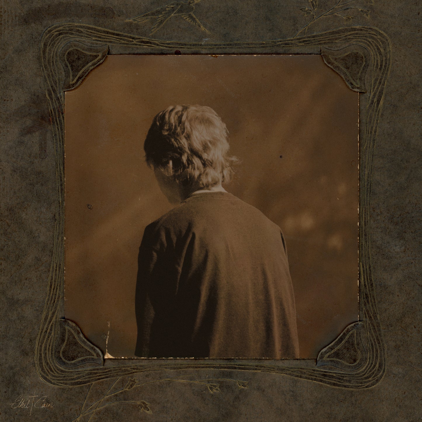 Ethel Cain - Willoughby Tucker, I Will Always Love You