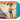 LTD Turquoise LP