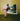 Master Peace - if i don't love you, who will ?