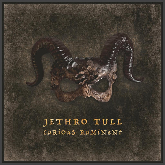 Jethro Tull - Curious Ruminant (Out 7/3/25)