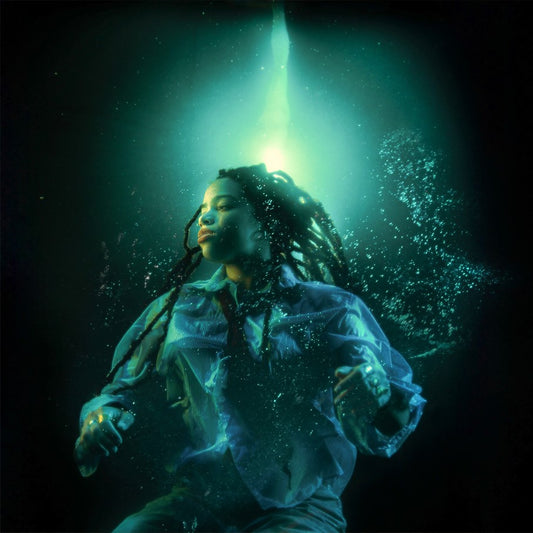 Maiya Blaney - A Room With A Door That Closes