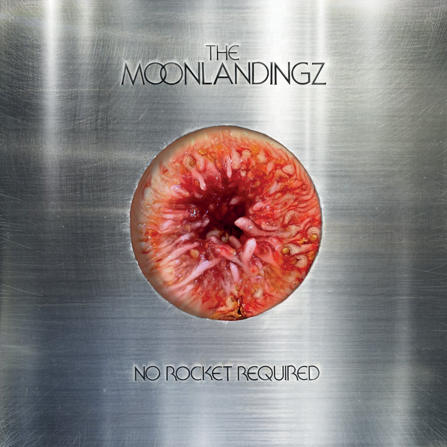 The Moonlandingz - No Rocket Required - (Out 25/4/25)