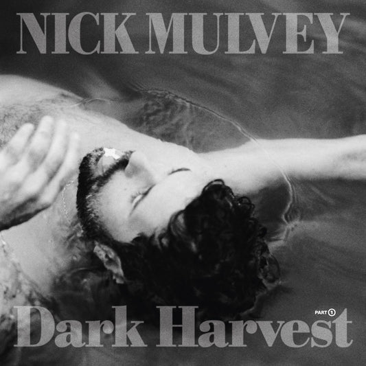 Nick Mulvey - Dark Harvest Pt. 1