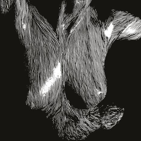 Oceansize - Self Preserved While The Bodies Float Up 15th Anniversary Edition