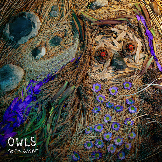 OWLS - Rare Birds