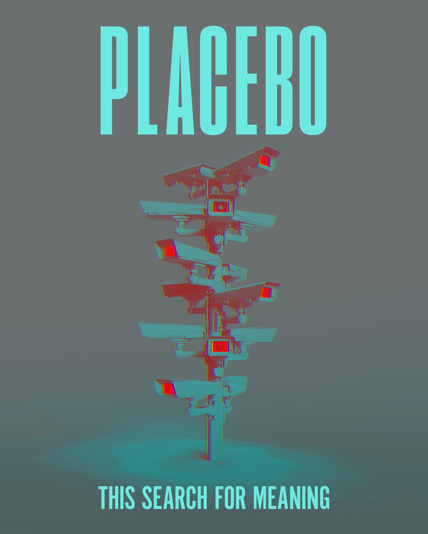 Placebo - This Search For Meaning