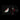 BLACK LP