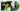 Green LP