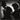 Sparks - Music That You Can Dance To