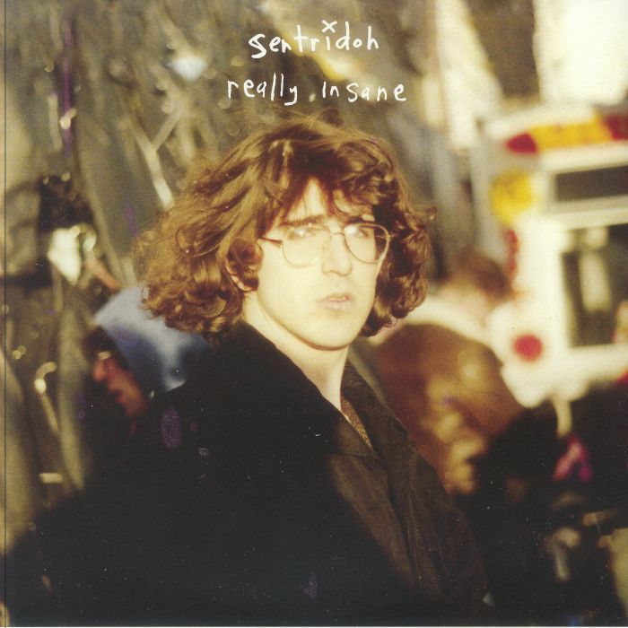 Sentridoh - Really Insane - A Lou Barlow Compendium