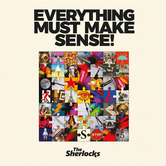 The Sherlocks - Everything Must Make Sense!