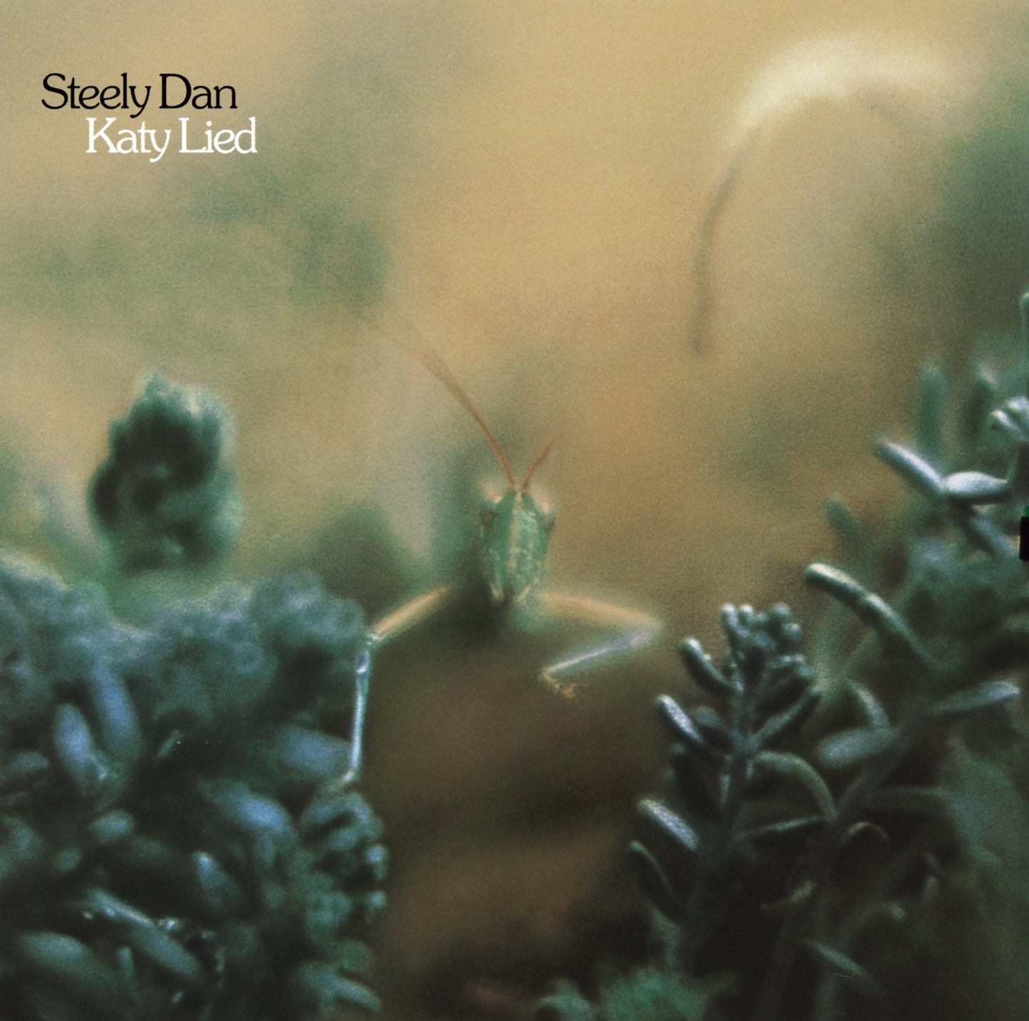 Steely Dan - Katy Lied (Out 31/1/25)