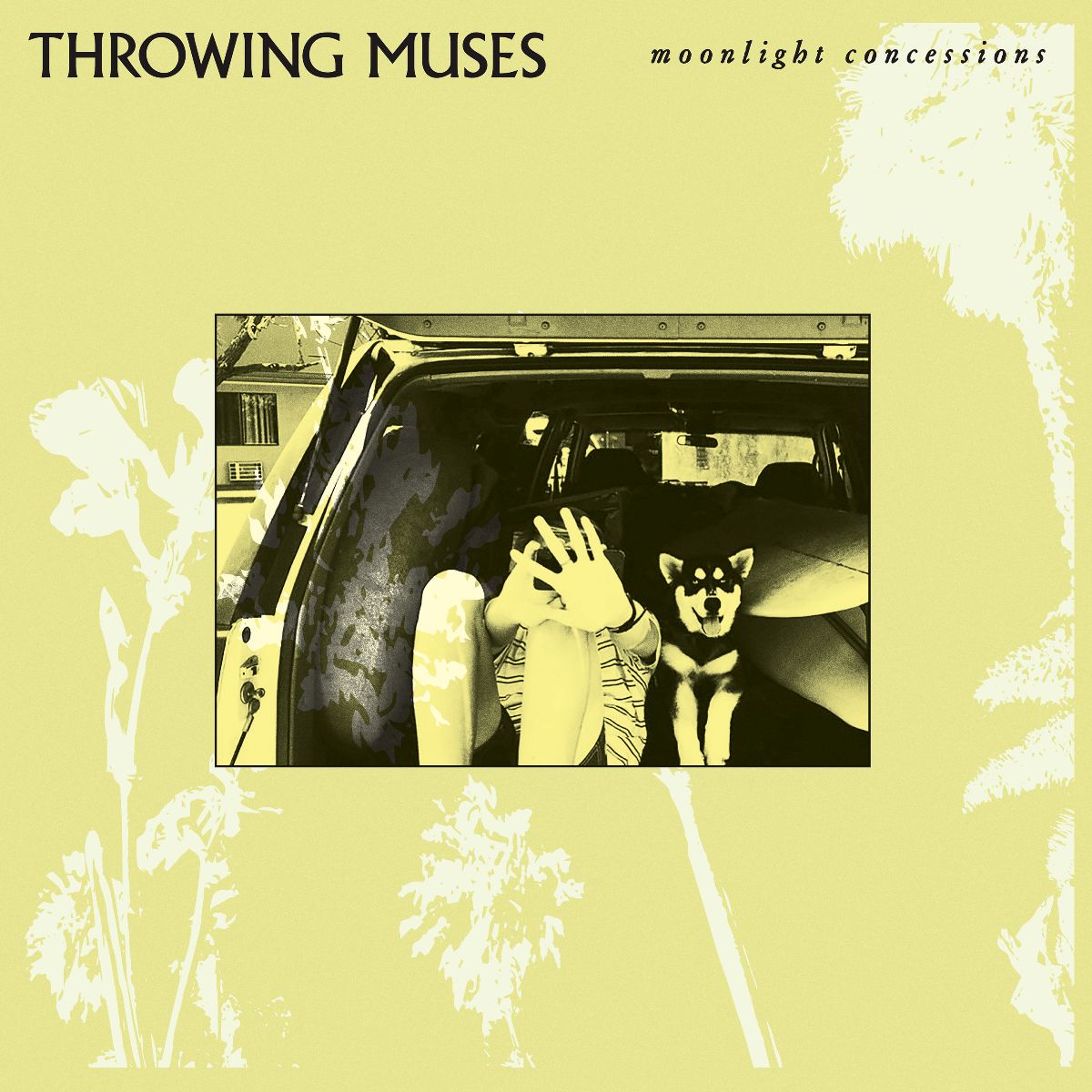 Throwing Muses - Moonlight Concessions (Out 14/3/25)