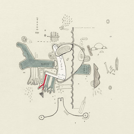 VA - Tiny Changes: A Celebration of Frightened Rabbit's The Midnight Organ Fight