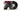 Black LP