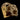 Indies Stone Edition LP