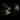 Black LP