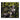 LTD CD