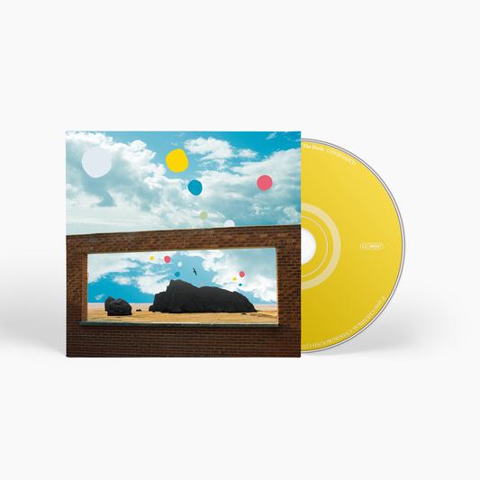 Admiral Fallow - First of the Birds