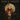 Florence & The Machine - Dance Fever