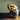 Therapy? - Troublegum: 30th Anniversary
