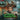 JAMES BERNARD - THE CURSE OF FRANKENSTEIN ORIGINAL SOUNDTRACK SELECTIONS