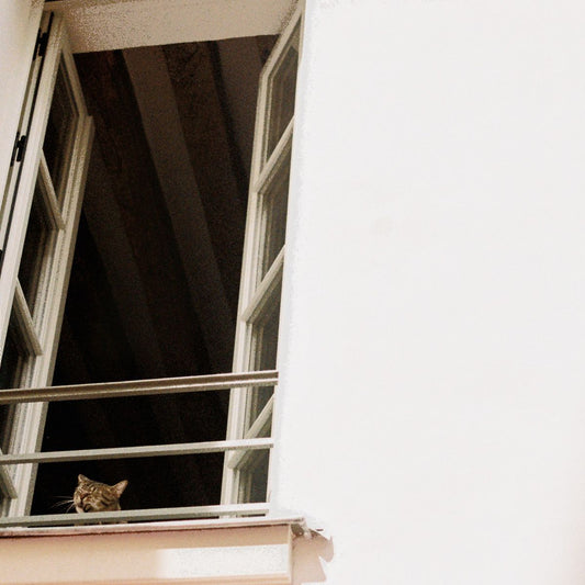 M(h)aol - Something Soft